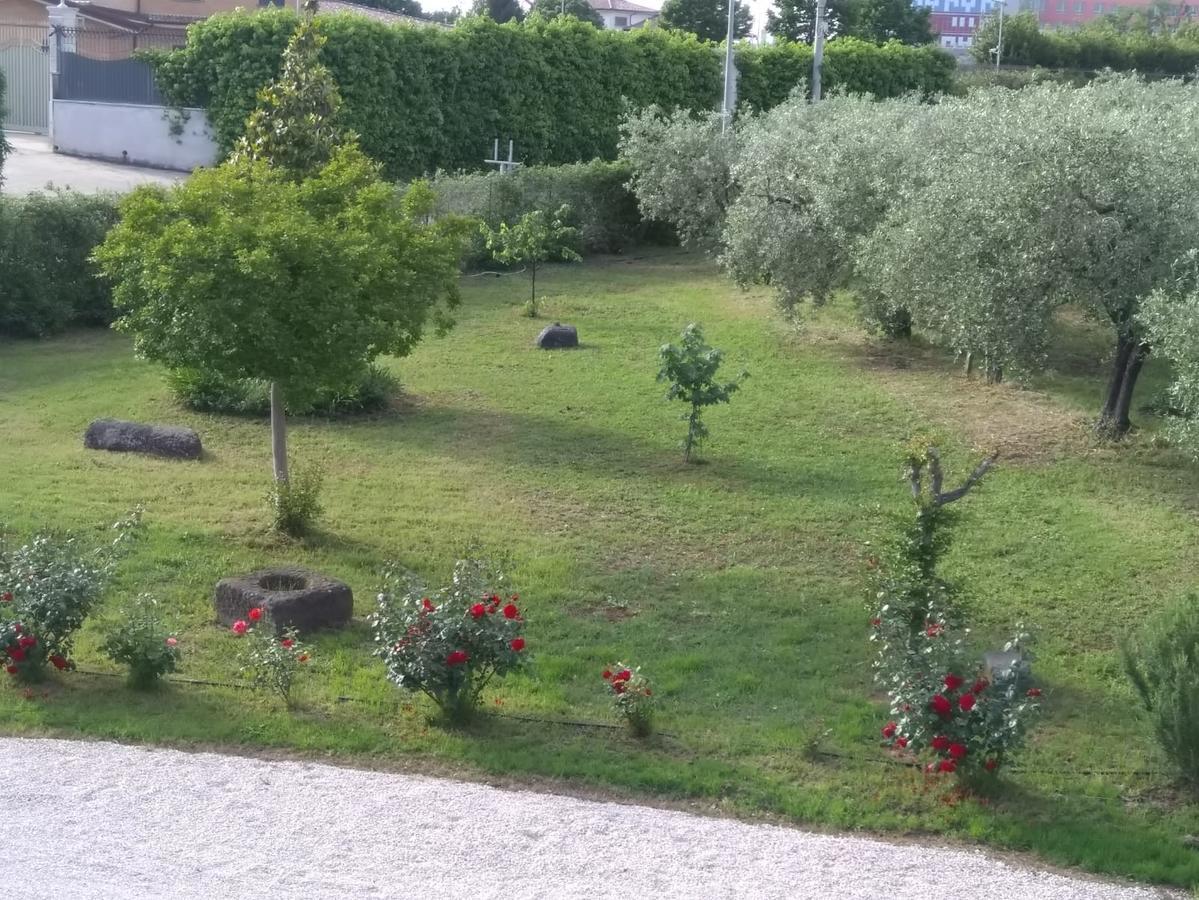 Casa Vacanze Le Rose Ariccia Εξωτερικό φωτογραφία