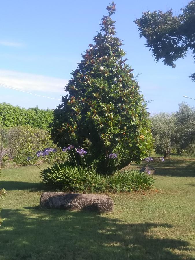 Casa Vacanze Le Rose Ariccia Εξωτερικό φωτογραφία