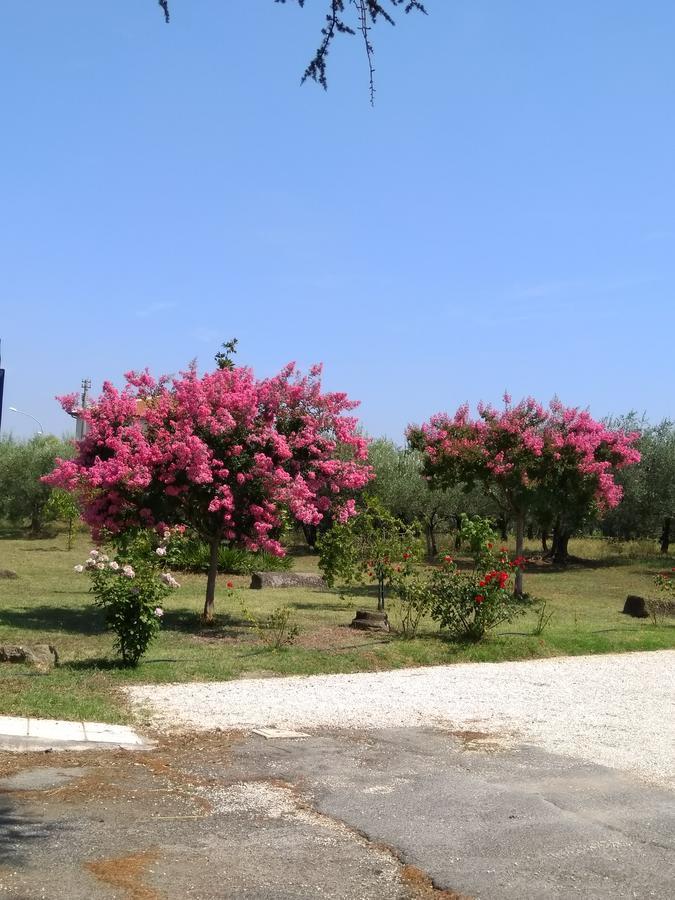 Casa Vacanze Le Rose Ariccia Εξωτερικό φωτογραφία